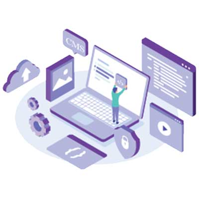 Website Development & Design