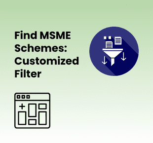 Customized MSME Schemes Filter